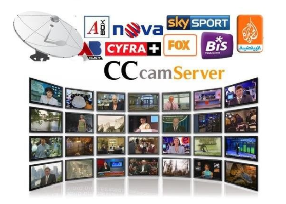 デジタル信頼できるCccam完全なサーバー インターネットの熱いヨーロッパ プログラム